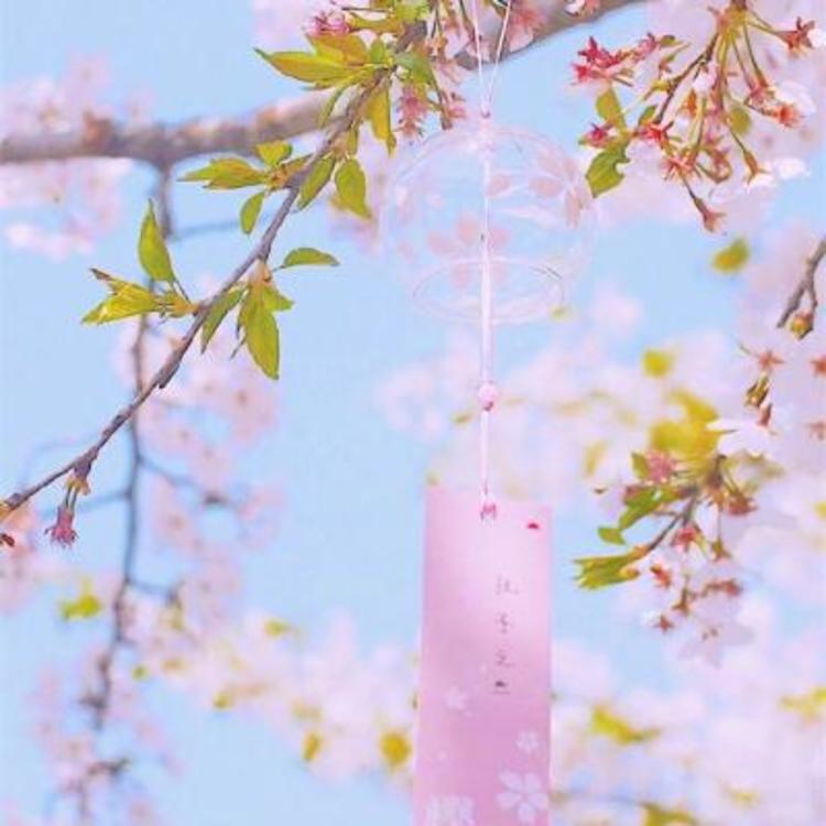 四乃森苍紫（身份：御庭番众前任首领、“天才忍者”） - 体育精华回放在线观看 - 云端视频